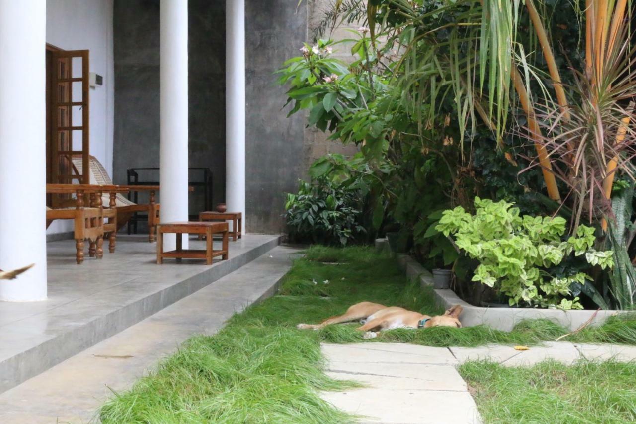 Cili Hotel Arugam Bay Exterior foto